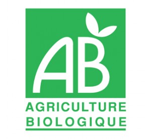 Purée de tomates Bio 680g – Passata italienne Saclà